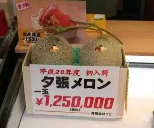 有哪些娱乐吃瓜的大号